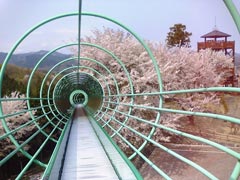 仙元山見晴らしの丘公園