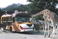 西下仁田温泉荒船の湯