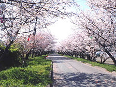岩脇公園