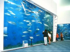 千歳サケのふるさと館